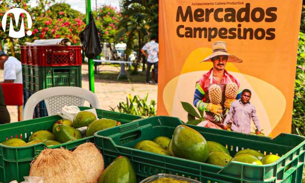 Mercado Campesino dejó ganancias por $500 millones a productores del Meta