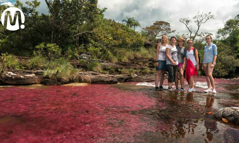 Turismo en Caño Cristales creció casi 50 % durante este año