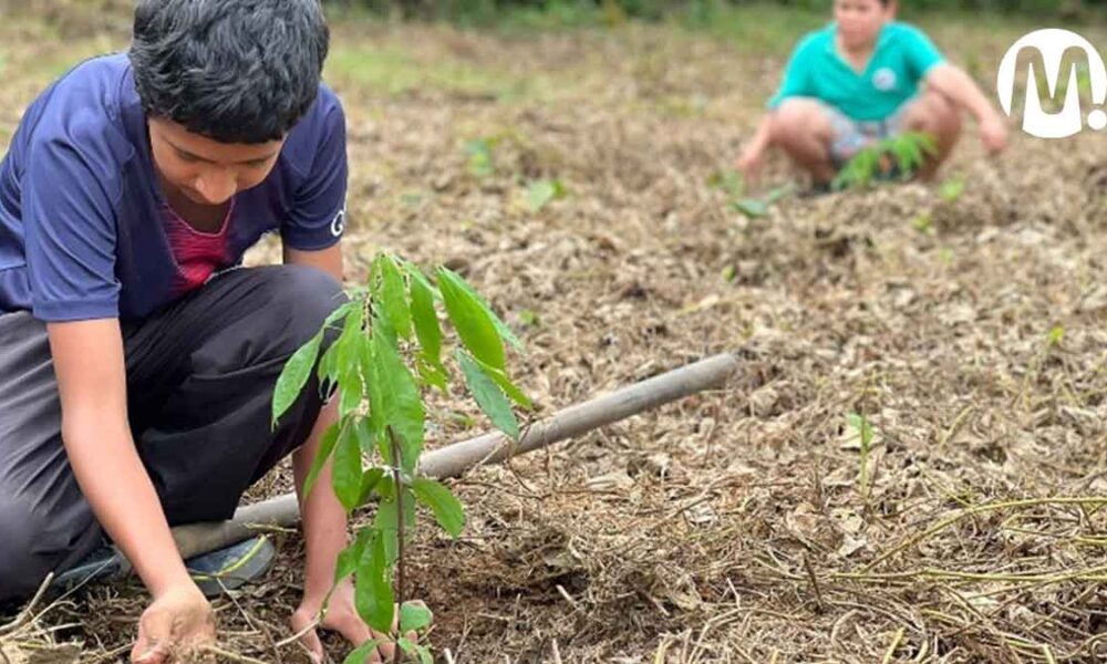 Habrá un bosque en memoria de las mujeres violentadas en Villavicencio