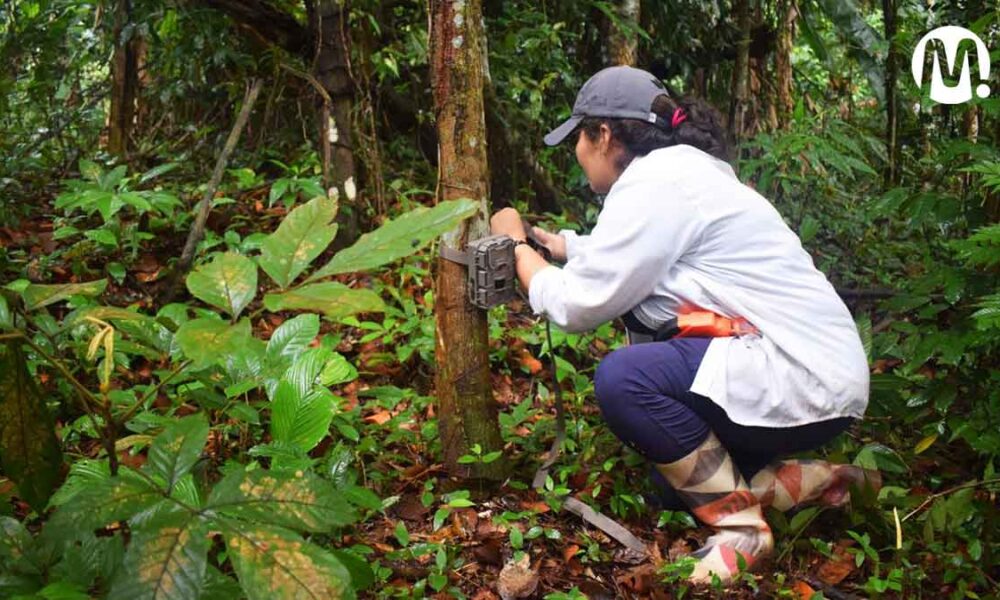 Estudiarán biodiversidad de ecoreserva Asa – La Guarupaya, en el Meta