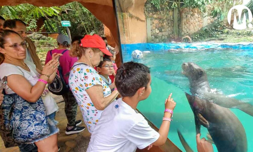 Más de un millón de personas visitaron el Meta en diciembre