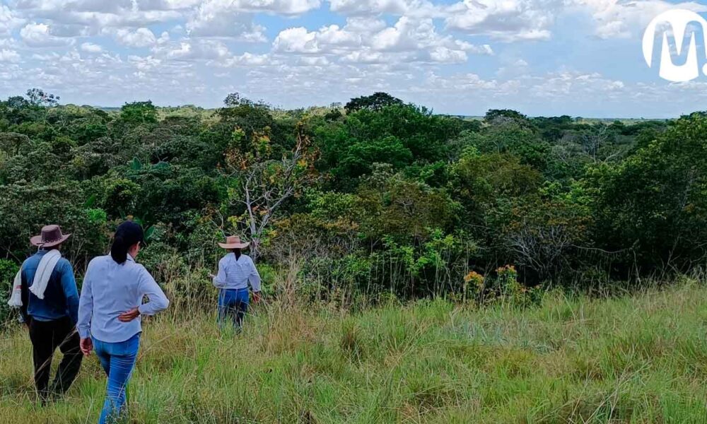 Ecopetrol contribuye a la protección de más de 1.700 hectáreas de bosque en el Meta