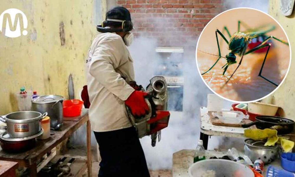 Fumigar no es efectivo contra el dengue, advierten en Villavicencio