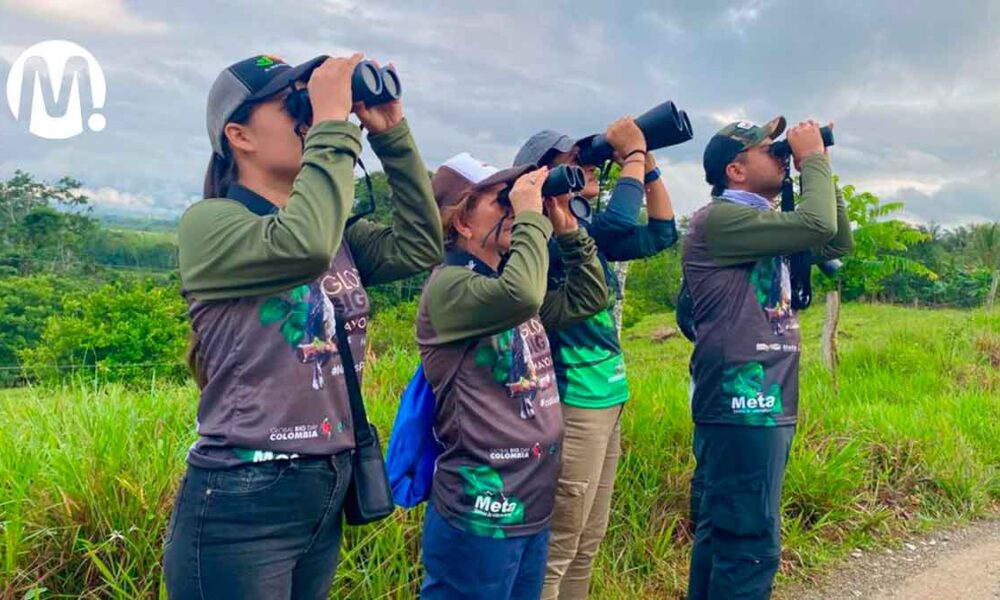 El Meta reportó 613 especies de aves en el Global Big Day