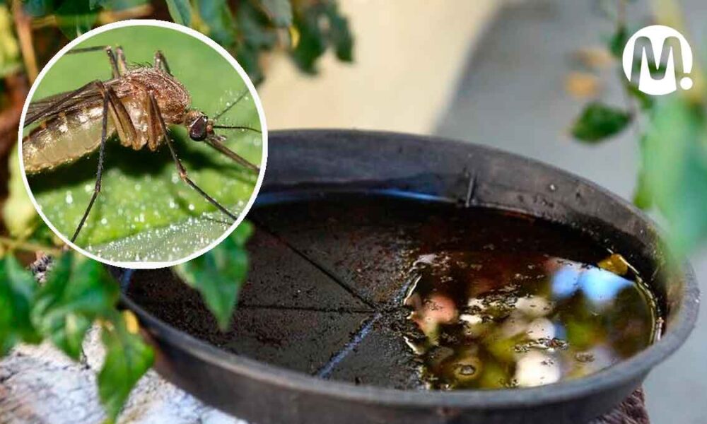 Por epidemia de dengue, declaran calamidad pública en Villavicencio
