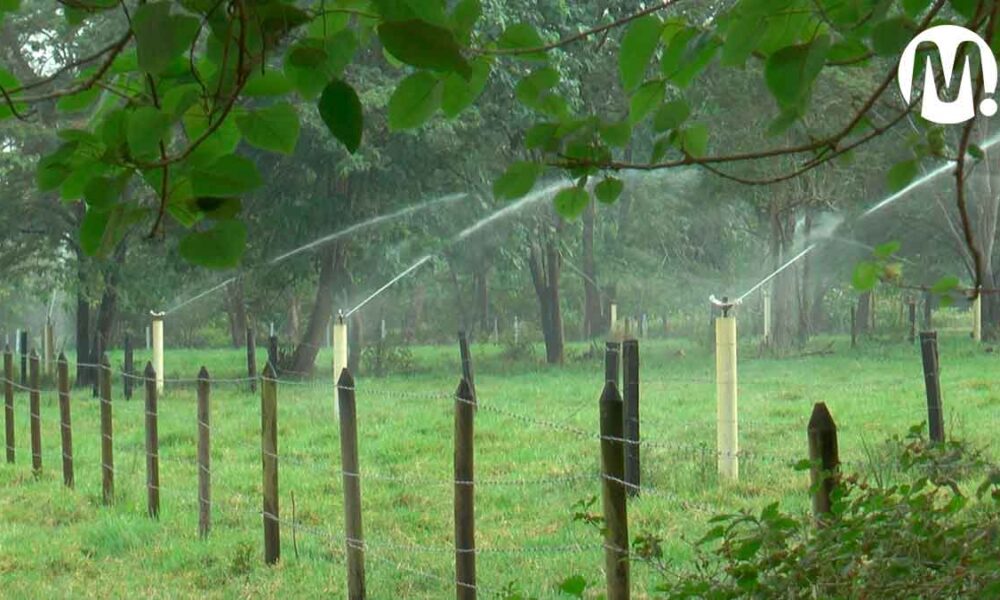 Ecopetrol recibió premio por estrategia de uso sostenible del agua