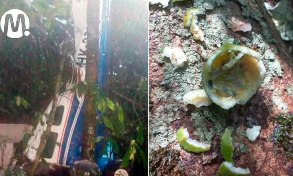 “No me engañen más”, abuela de niños perdidos en selva del Caquetá
