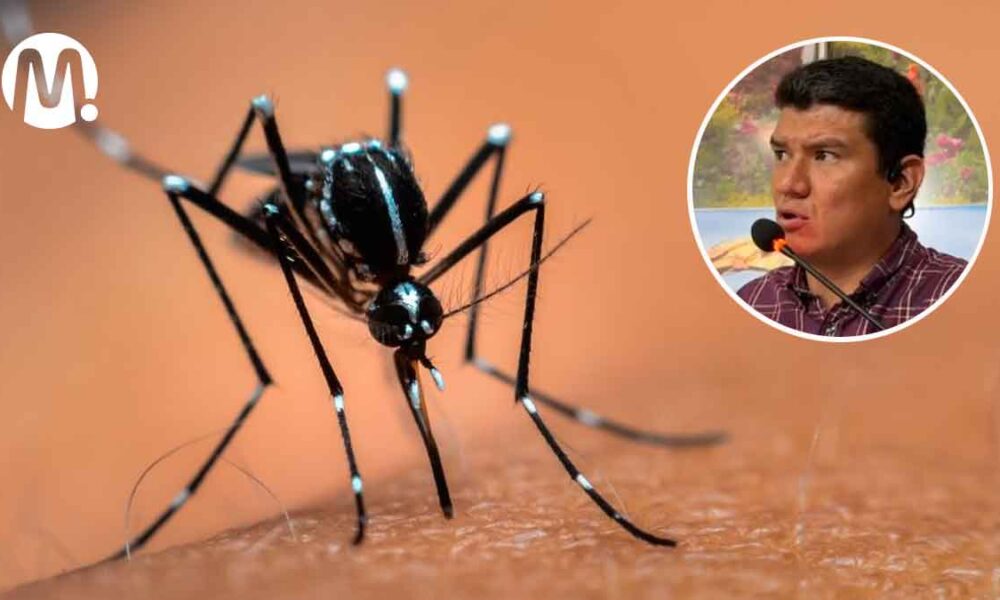 Solo tres municipios del Meta están libres de riesgo por dengue