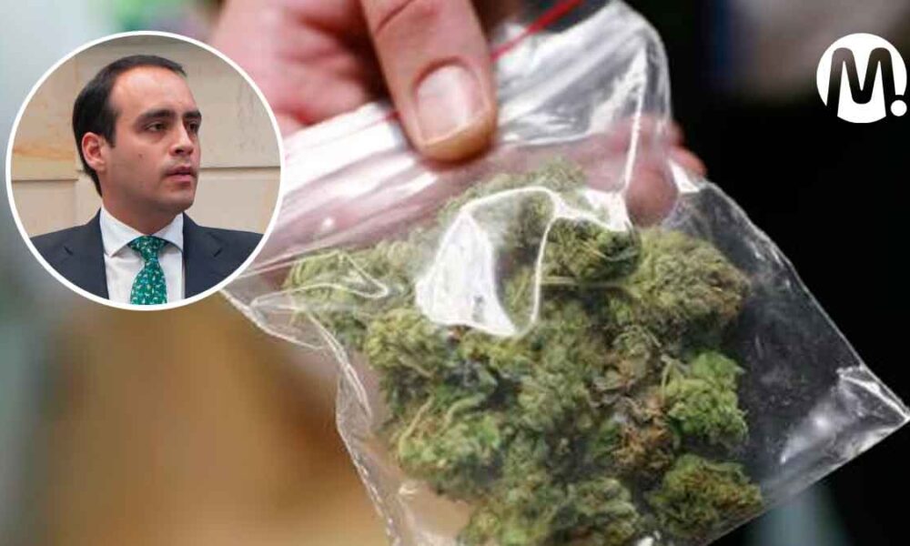 Senador Alejandro Vega dijo “sí” al comercio legal de marihuana