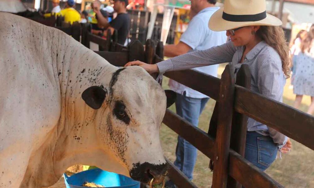 Así será ExpoMalocas 2023, la feria más importante de la Orinoquia