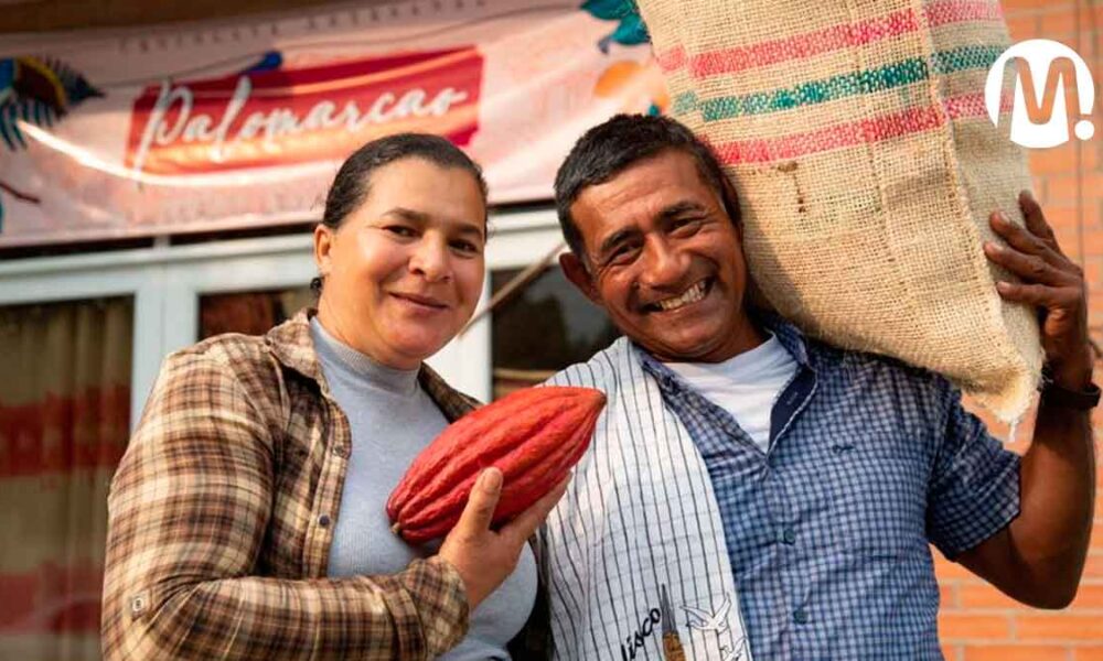 Productores del Meta vuelven a ganar el concurso nacional ‘Cacao de Oro’