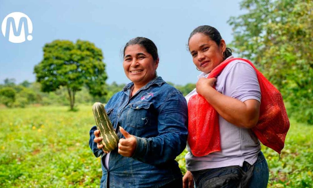 Campesinos del Meta vendieron toneladas de alimentos a Ecopetrol