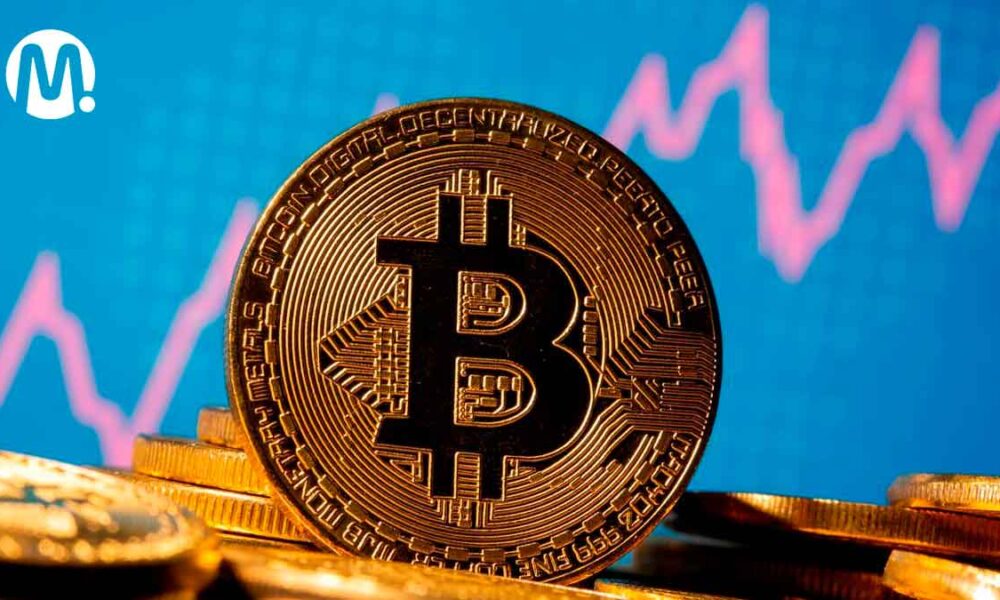 Comportamientos de inversión en criptomonedas: comprensión de las tendencias