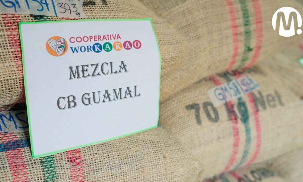 Meta, entre los 50 mejores cacaos del mundo
