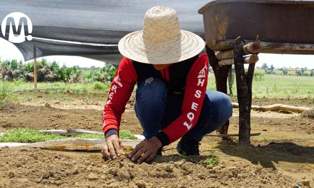 ‘El Campo Emprende’ ha beneficiado a 78 familias de Puerto Gaitán