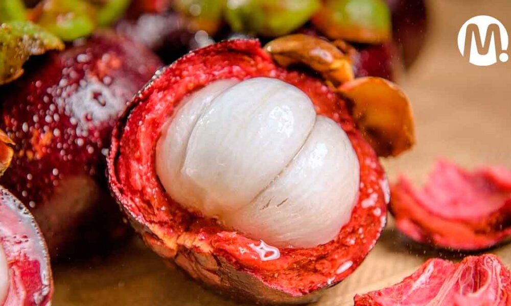 Gobernación del Meta fortaleció la cadena hortofrutícola