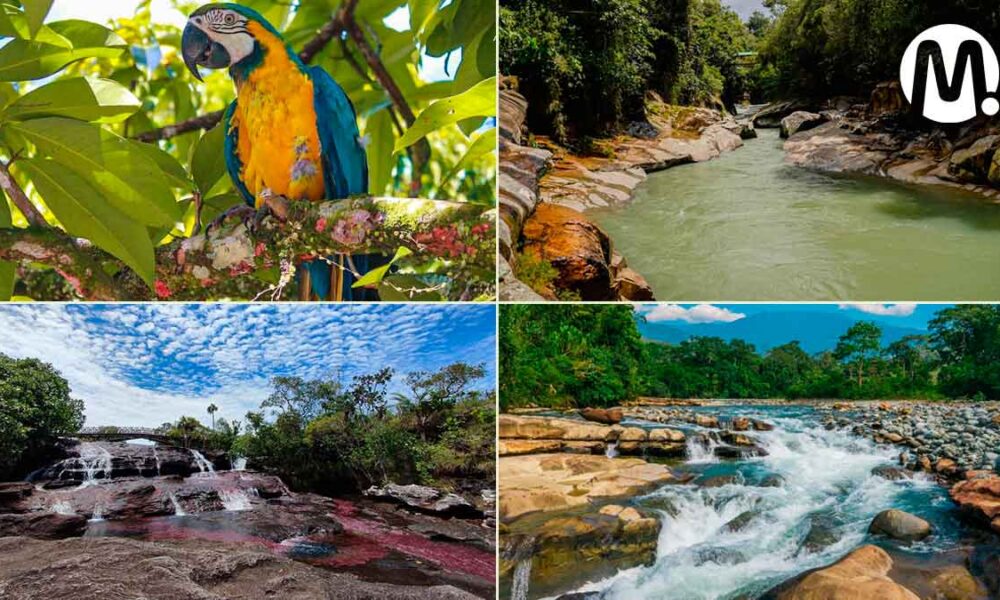 Abren inscripciones al concurso Ecovideo ‘La biodiversidad nos inspira’