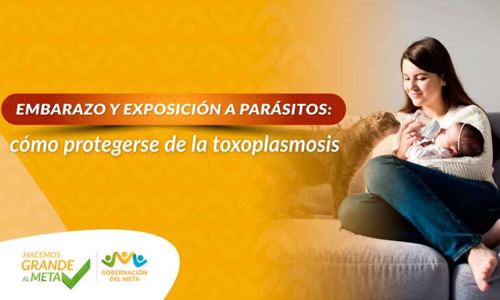 Embarazo y exposición a parásitos: cómo protegerse de la toxoplasmosis