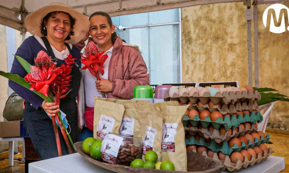 Mañana viernes, la apertura navideña es con el último ‘Gran Mercado Campesino’