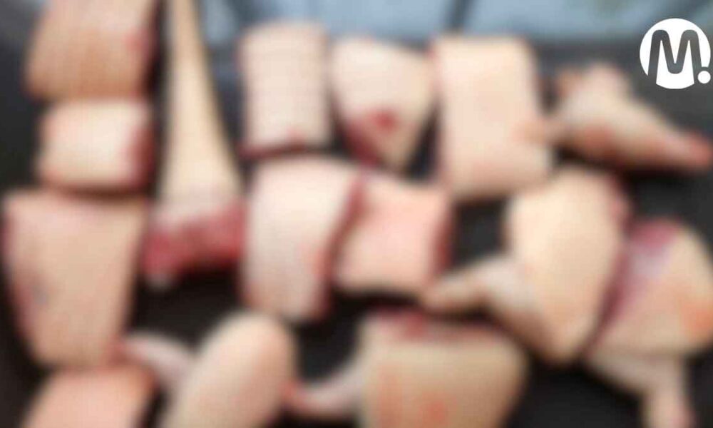Asesinato de un armadillo causa indignación en el Meta