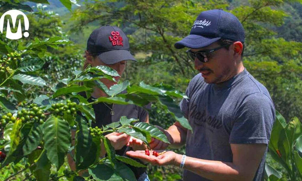Ser cafetero por un día, la experiencia única que ofrece la finca Nakuanü