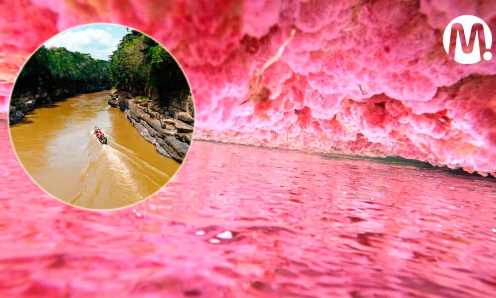 Caño Cristales habilita nuevamente el acceso al público