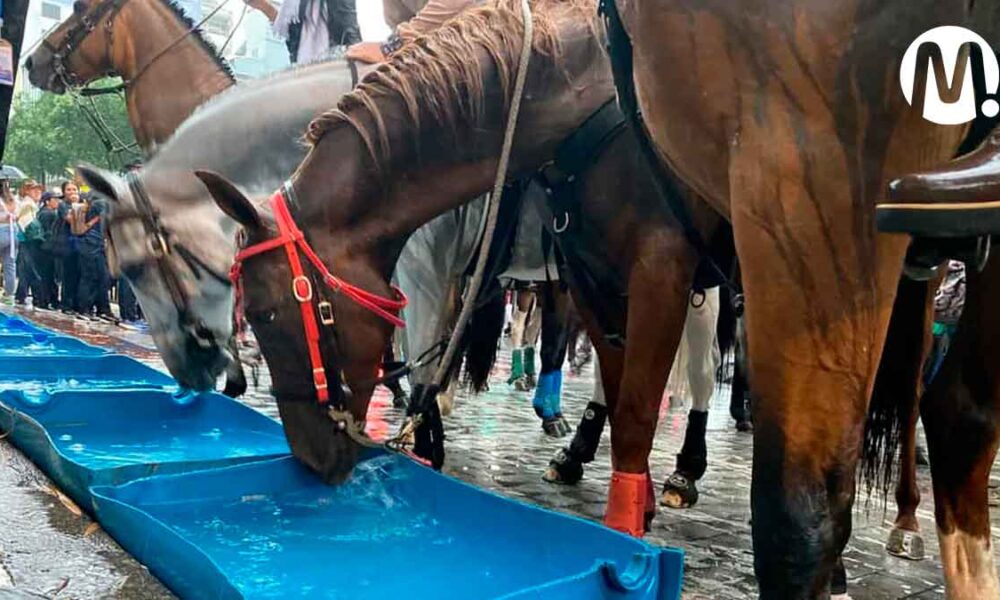 Con una cabalgata nocturna abrirá ExpoMalocas 2024