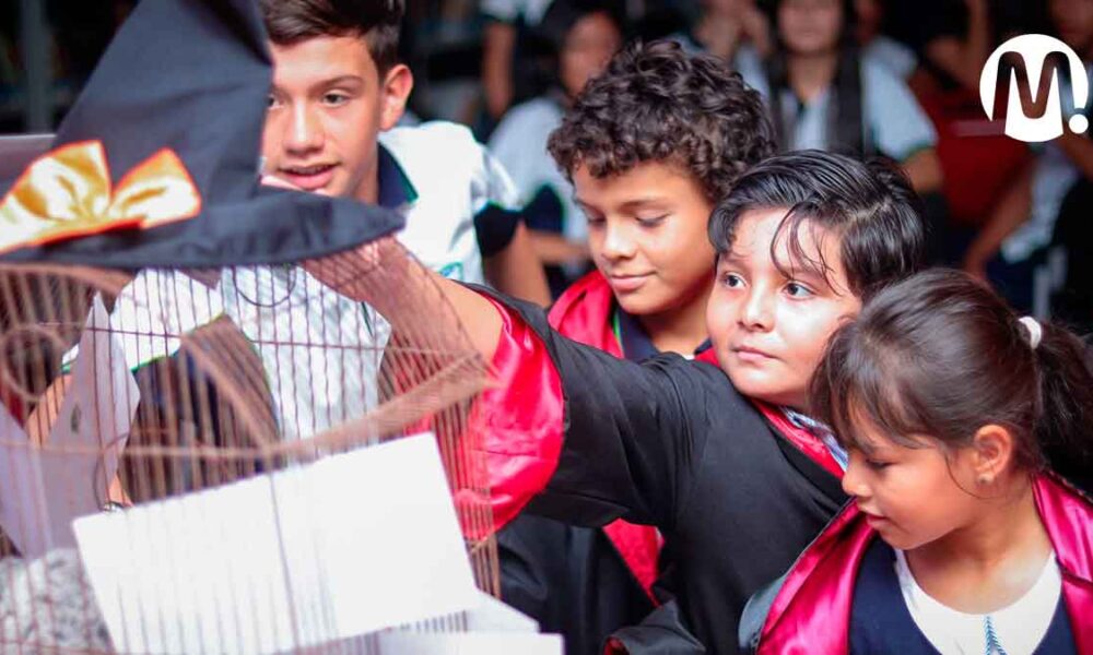Expomalocas invita a los niños a vivir la fiesta literaria de Harry Potter