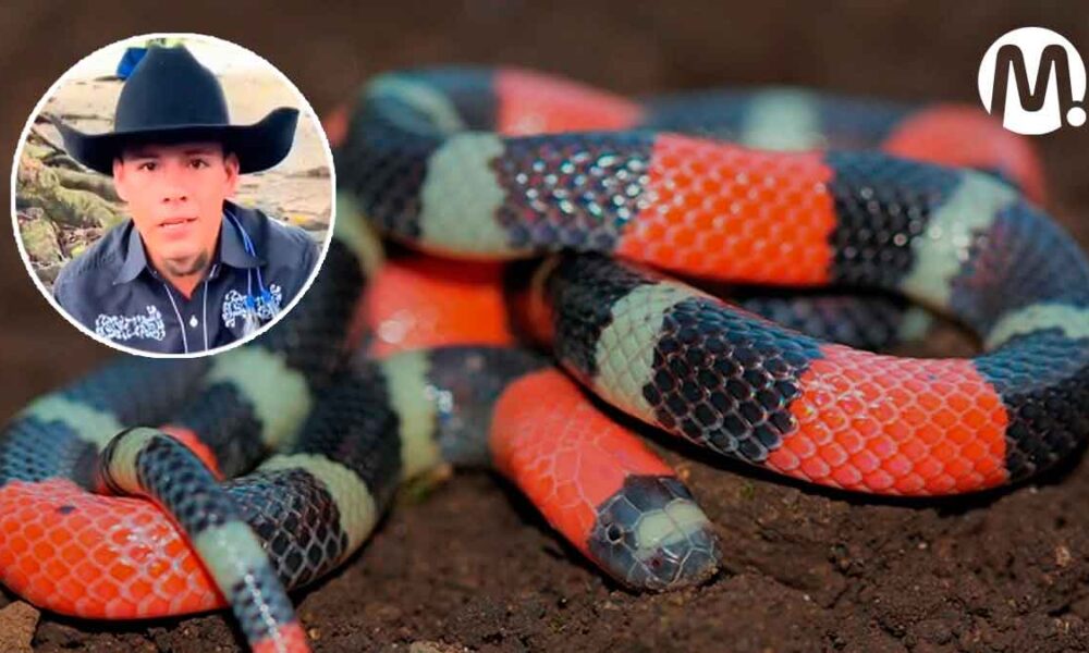Anuncian sanciones contra influencer llanero que incineró a una serpiente