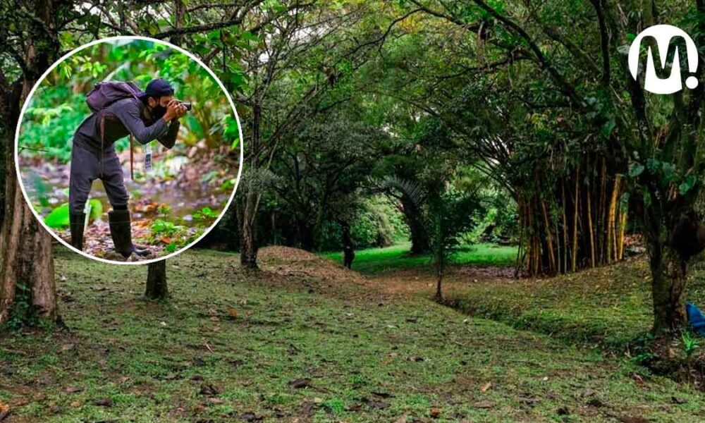 Parque Metropolitano Alma Viva estará listo para diciembre de 2024
