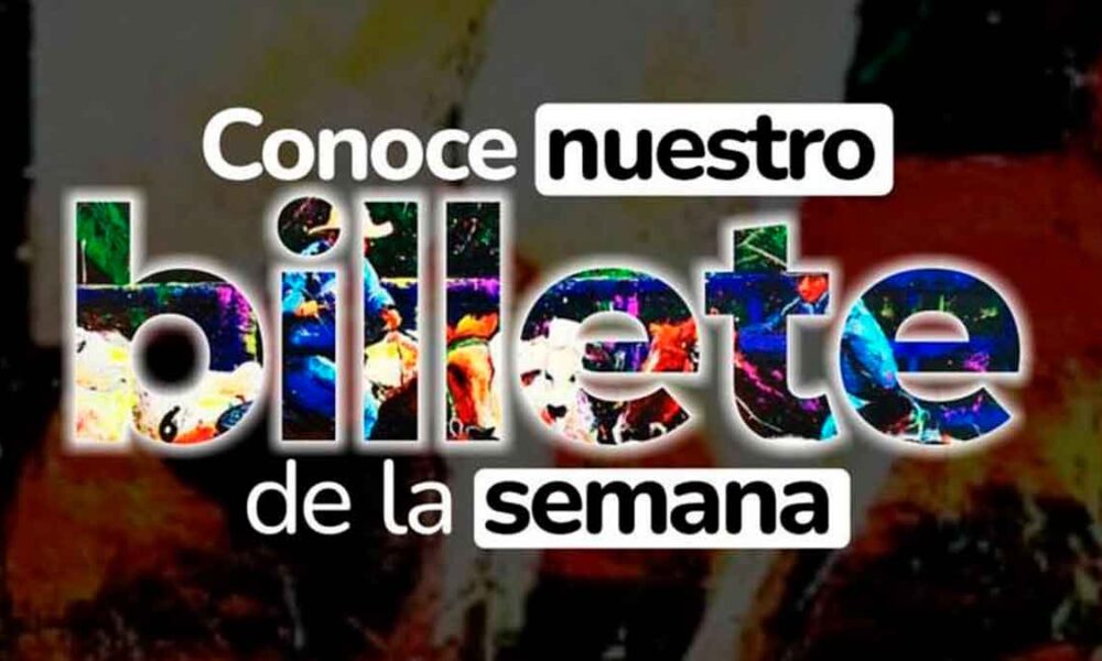 Billete de la Lotería del Meta se impregna del talento de reconocido artista plástico llanero