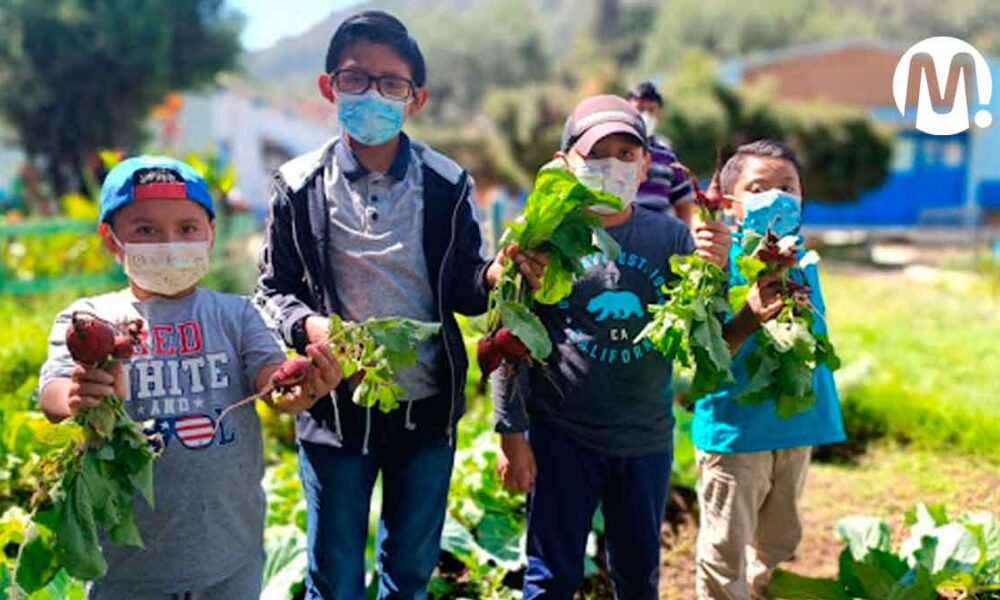 Proyecto ‘El Tarimón’ revitaliza la agricultura tradicional en el Meta