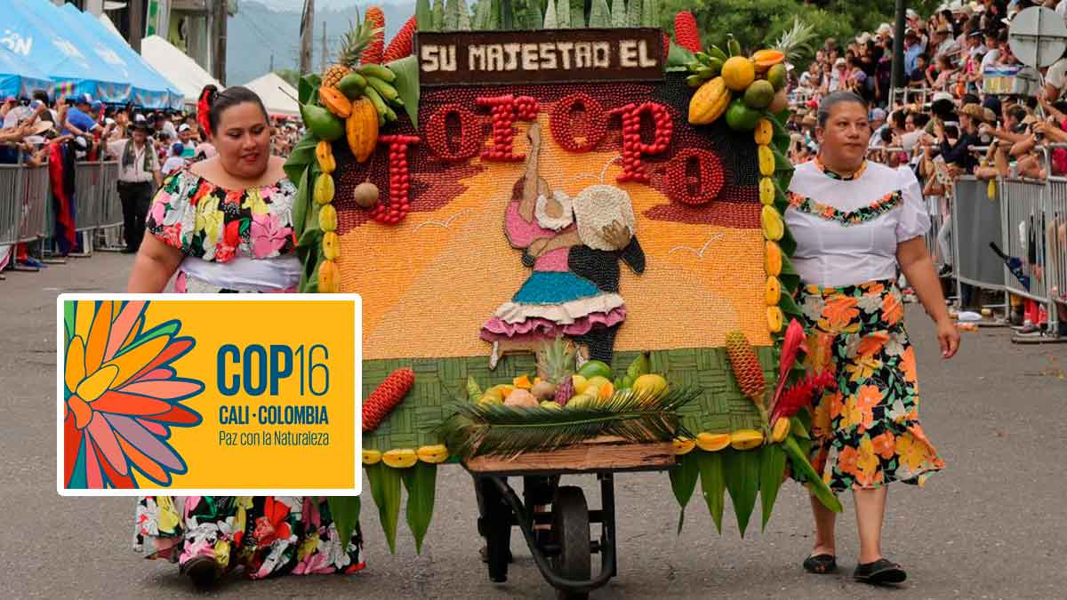 En la COP16 lanzarán la fiesta llanera más grande del país: El Torneo Internacional del Joropo
