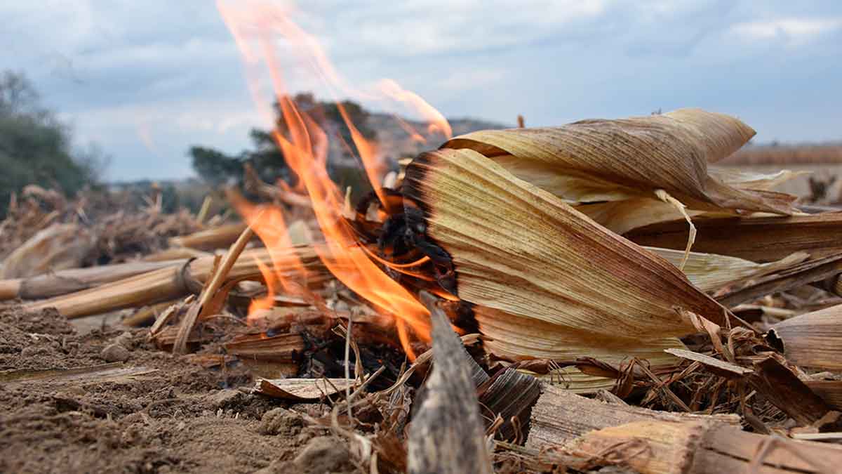 Cormacarena advierte sobre amenazas ambientales por fiestas de fin de año