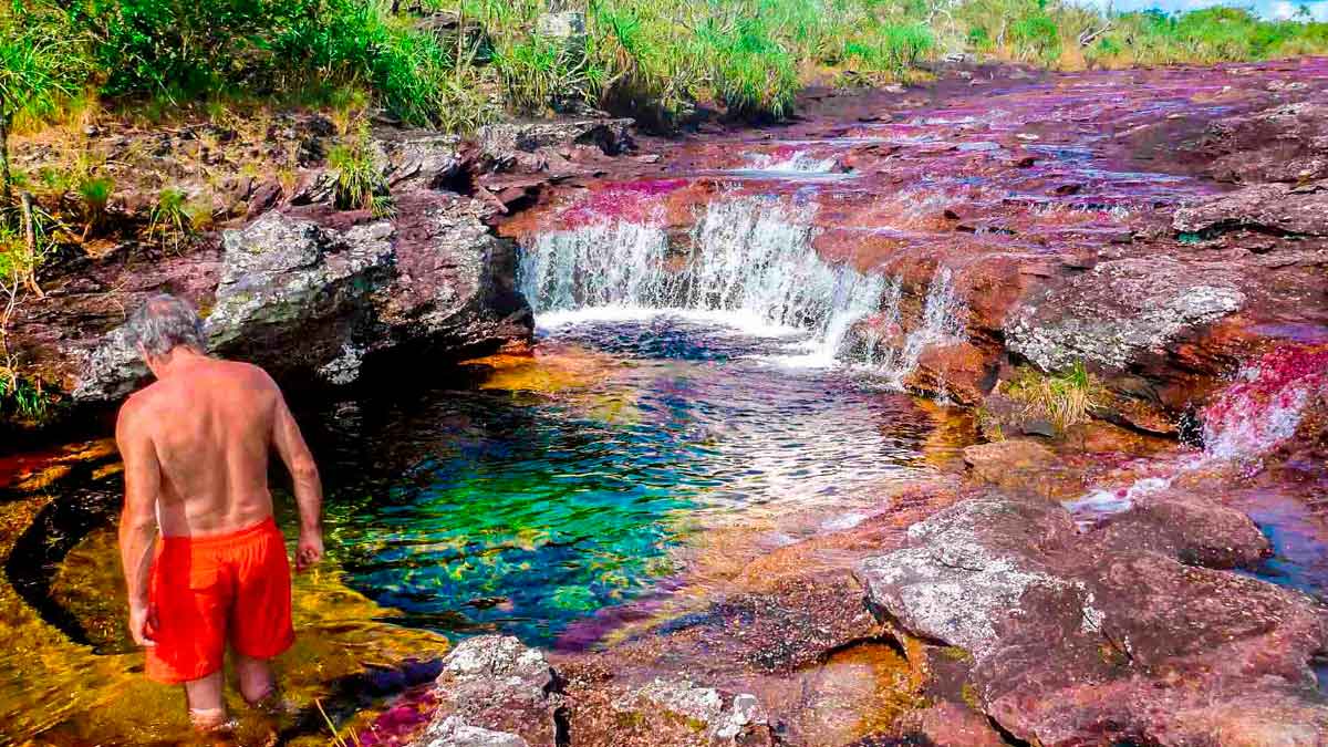 Suspenden ingreso a Caño Cristales: reapertura sería en el segundo semestre de 2025