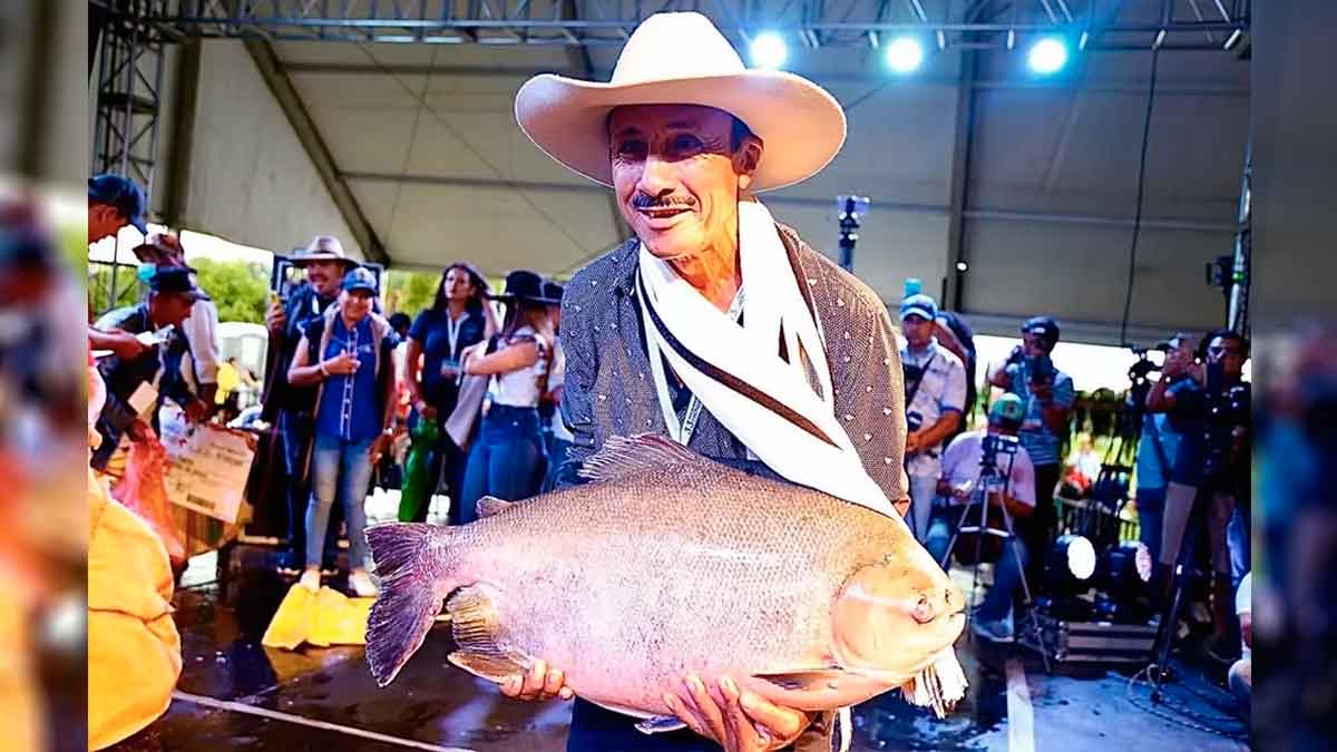 Este viernes arranca con toda el 36° Festival de la Cachama de Puerto Gaitán
