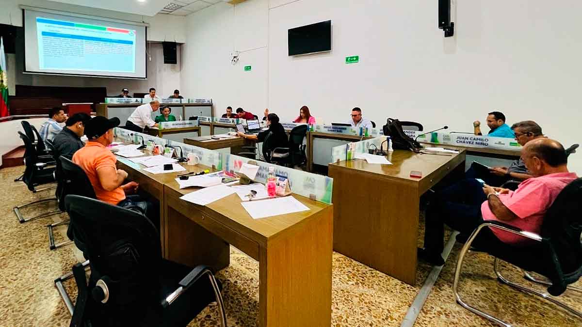 Por desconocimiento de concejales se cayeron dos acuerdos clave para Villavicencio