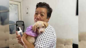 ¡Mona ya tiene hogar! Así está la perrita rescatada de una tienda de animales en Villavicencio