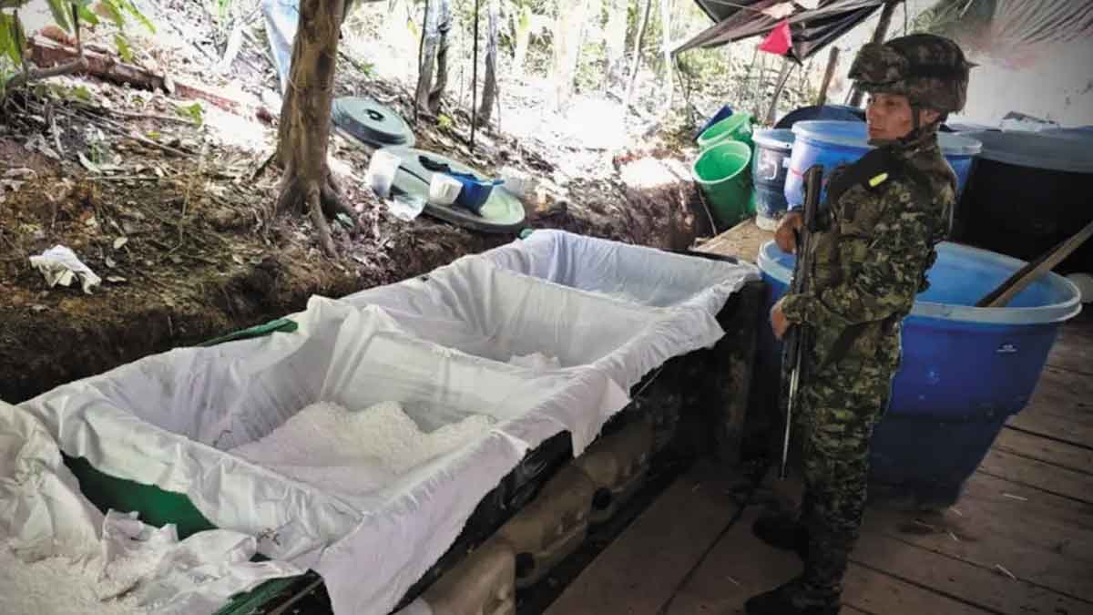 Hallan 11 laboratorios de coca de las disidencias en el Meta; uno solo producía $30.000 millones al mes