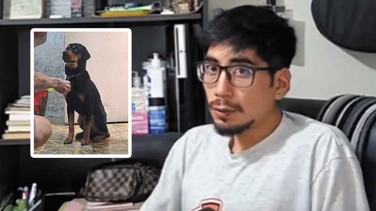 Caso de perrito incinerado por su dueño causa indignación en todo el país