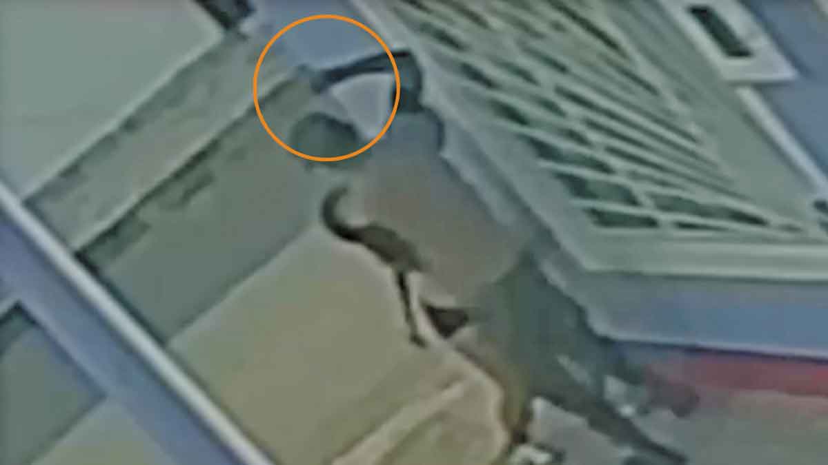 Ataque a puñal contra una mujer en Villavicencio quedó grabado por cámaras de seguridad