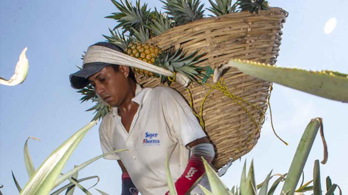 DANE confirma a Villavicencio como la ciudad con menor tasa de desempleo del país