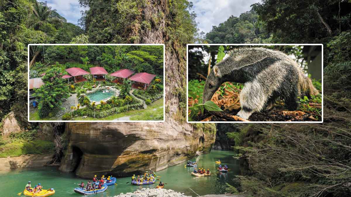 Naturaleza, cultura y grandes eventos impulsan al Meta como destino turístico en estas vacaciones