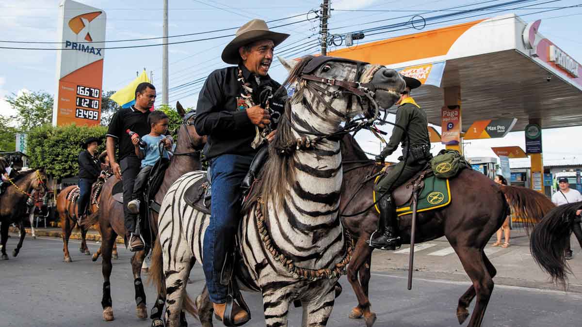 San Martín será escenario de la tradicional cabalgata de Expomalocas 2026