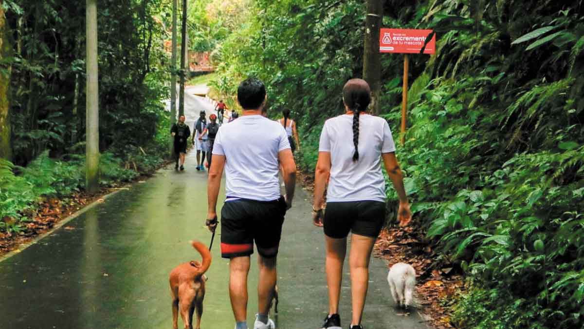 Villavicencio es uno de los destinos más buscados del país, según Booking.com