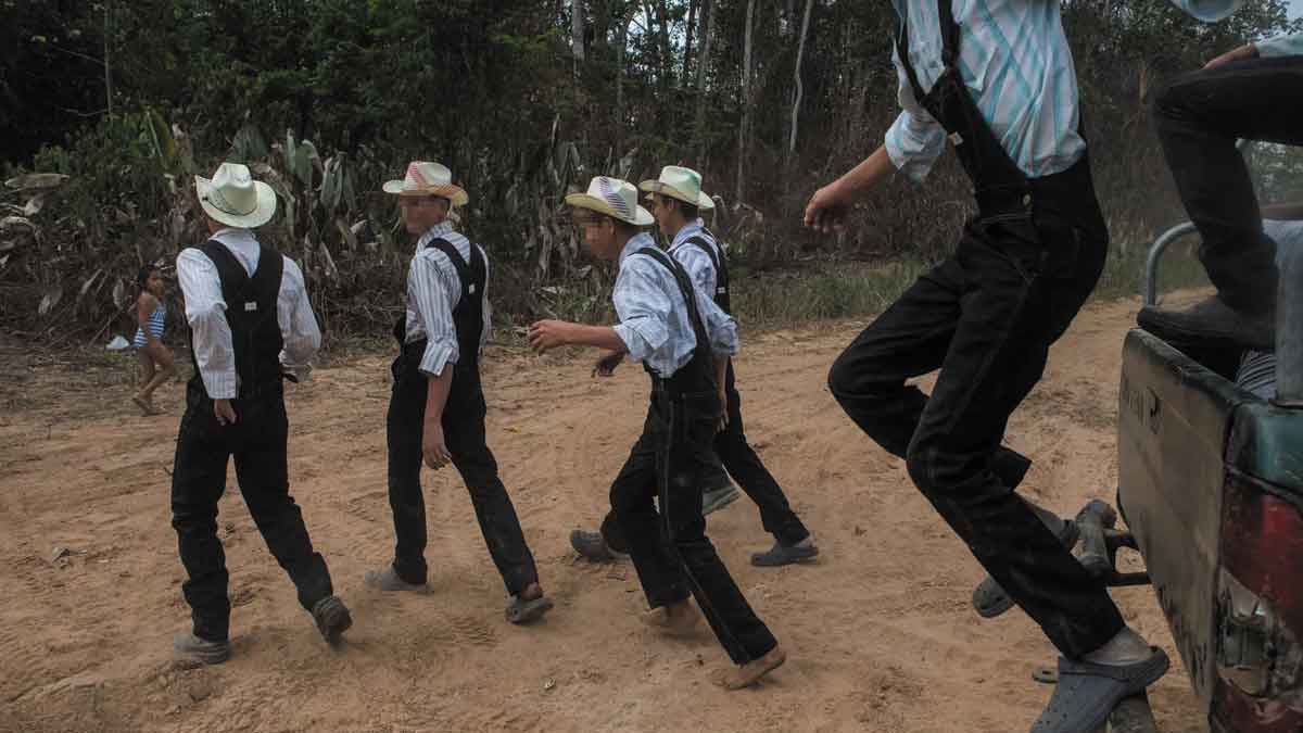 Fiscalía lleva a juicio a 12 menonitas mexicanos por deforestación en Puerto Gaitán