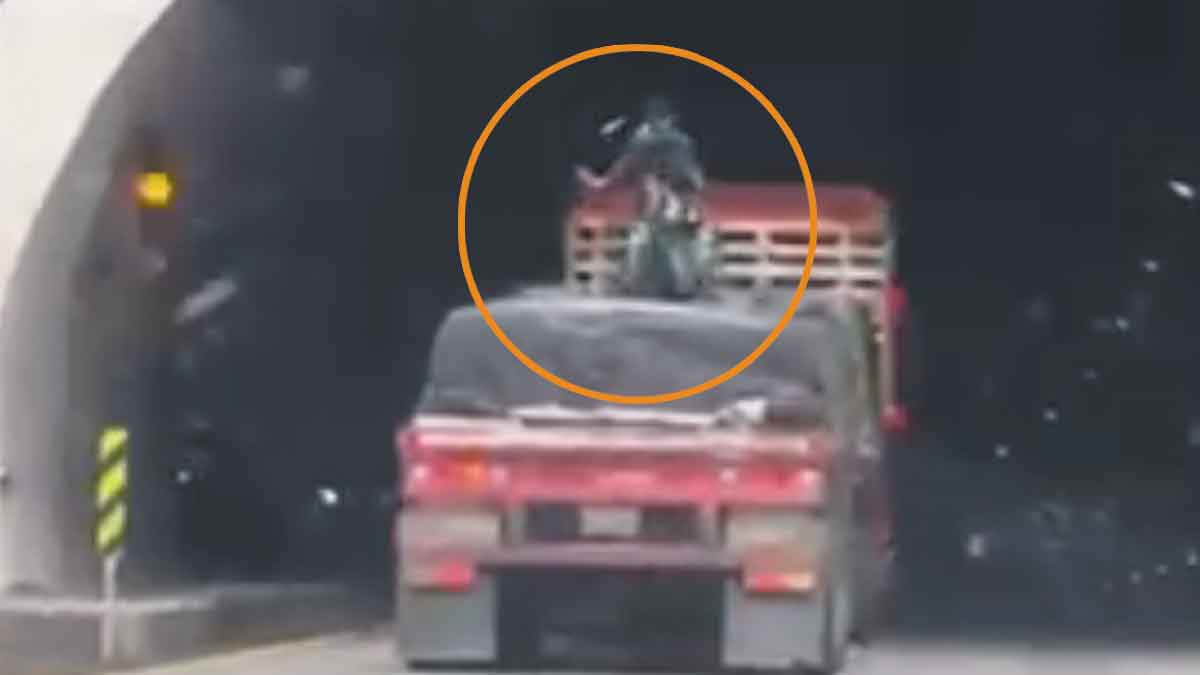 Judicializan a tres adolescentes por el crimen de un hombre que viajaba de polizón en la vía al Llano