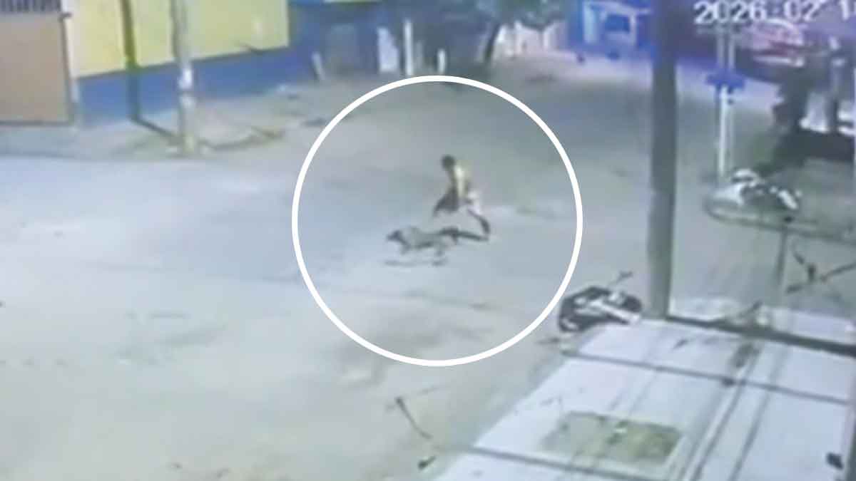 Le siguen la pista a hombre que golpeó hasta matar a una perrita en Villavicencio