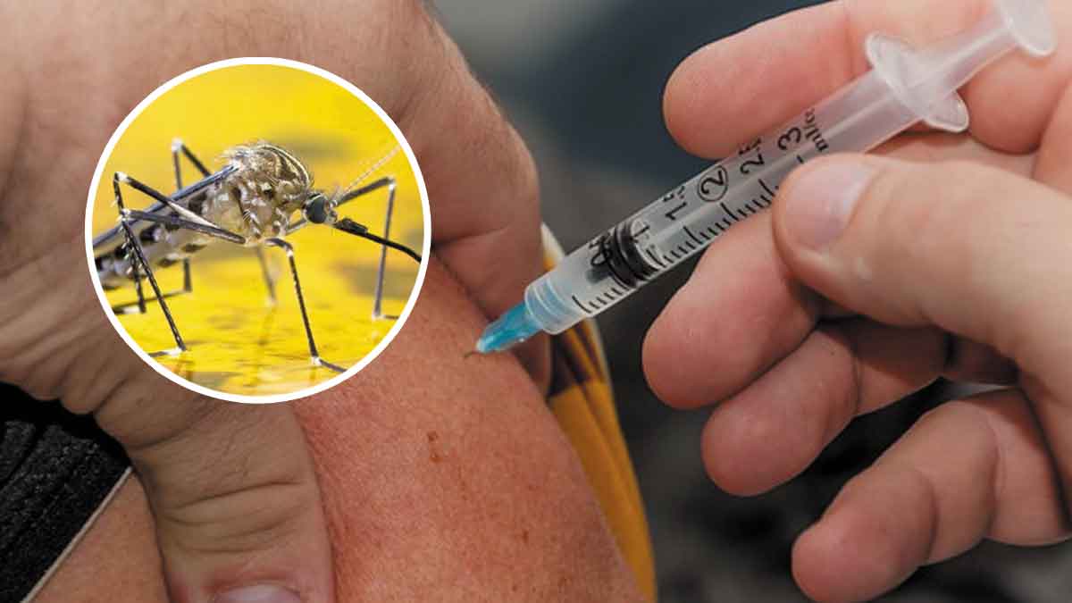 Tras alerta sanitaria intensifican vacunación contra lafiebre amarilla en el Meta: 151.912 dosis aplicadas