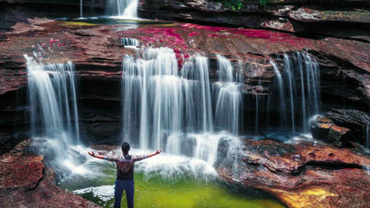 Caño Cristales abrió temporada turística 2026; recibirá visitantes hasta diciembre